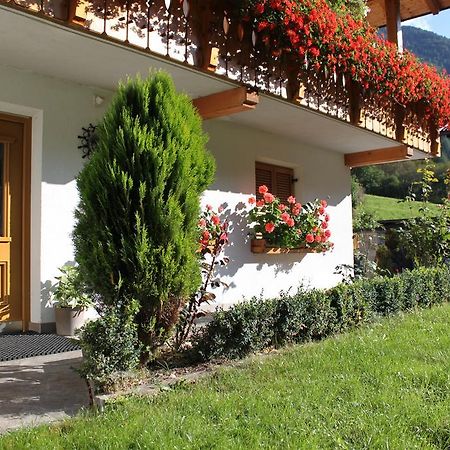 Haus Kofler Appartamento Casateia Esterno foto
